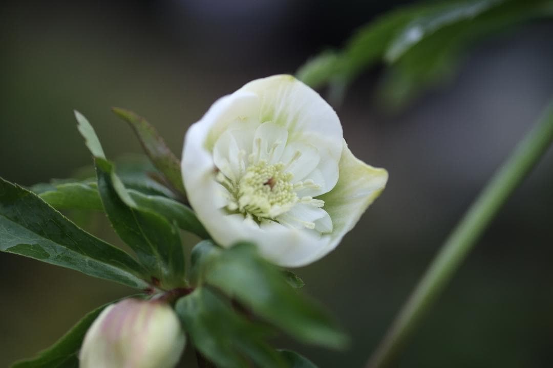 もり子❤(ӦｖӦ。)プロフィール必読様 リクエスト 3点 まとめ商品