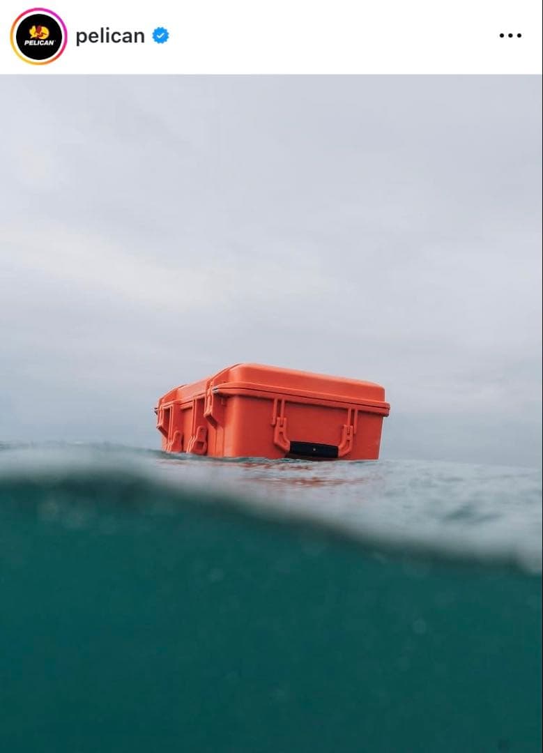 【PELICAN】 1520 PROTECTOR CASE / BLACK