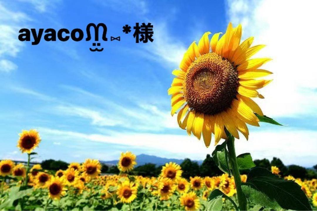 ayacoᙏ̤̫⑅*様