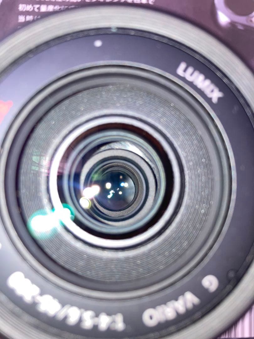 Lumix 45-200mm MEGA O.I.S. ズームレンズ