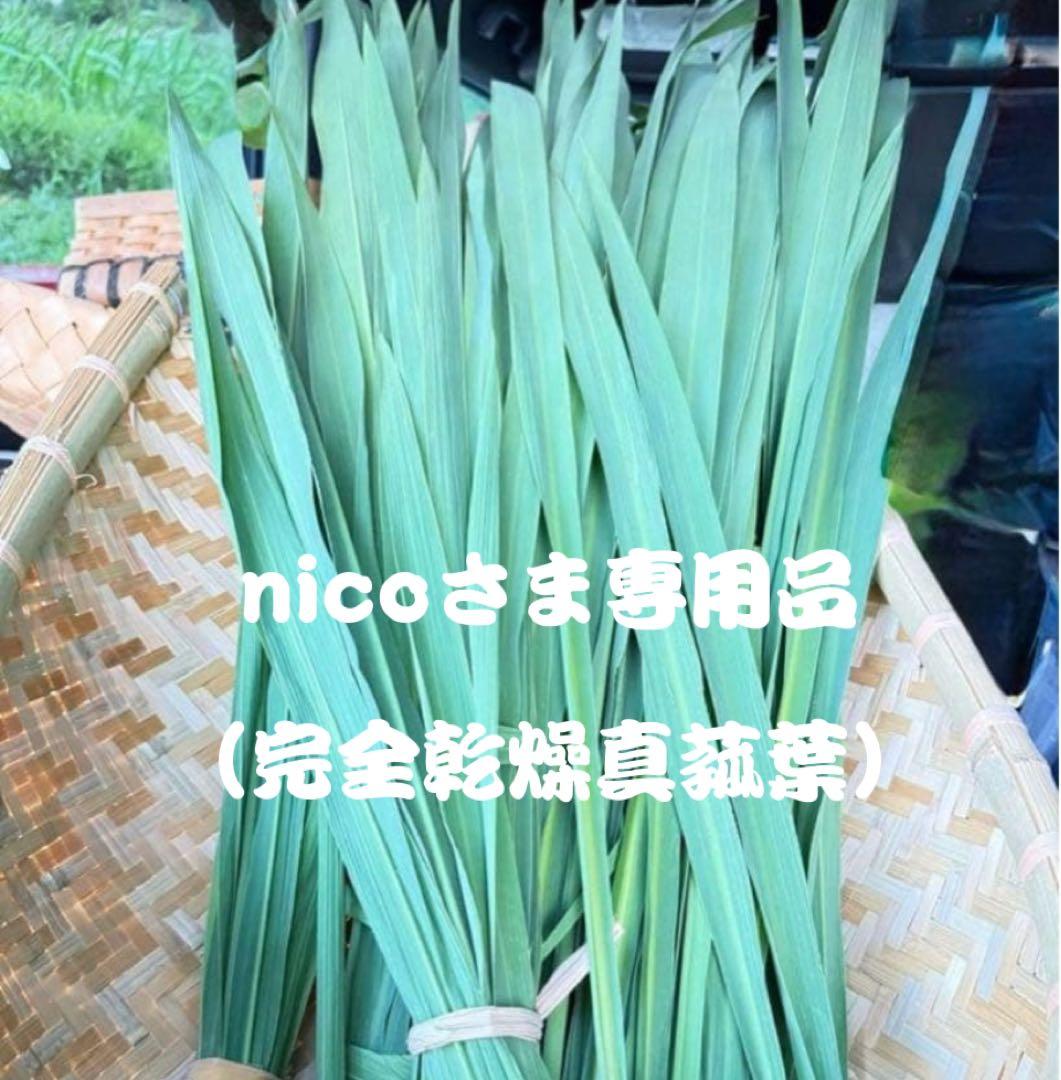 nicoさま専用（完全乾燥真菰葉）