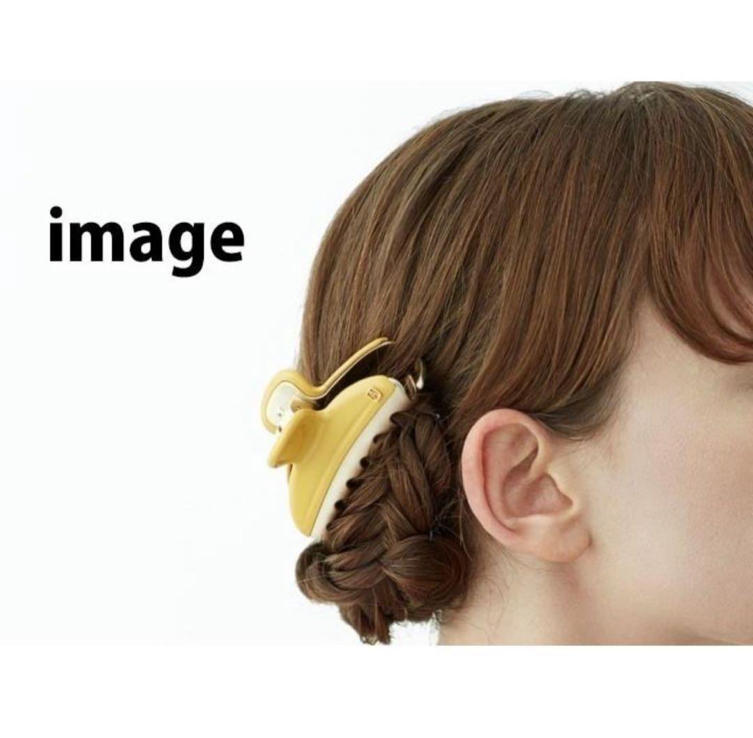 アレクサンドル ドゥ パリ ALEXANDRE DE PARIS　ヘアクリップ