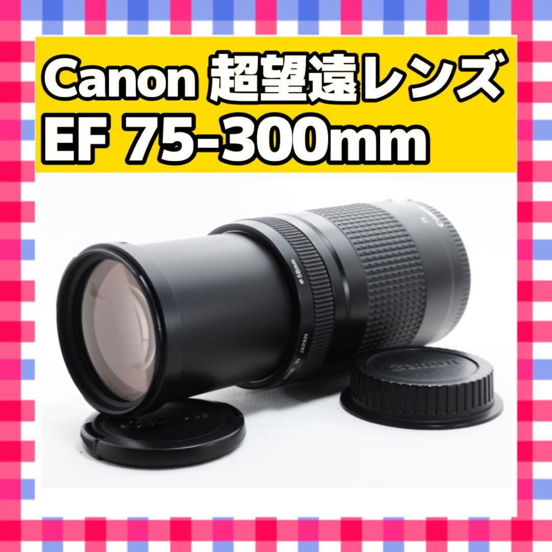 動作確認済❤️Canon EF 75-300mm❤️迫力満点の望遠レンズ