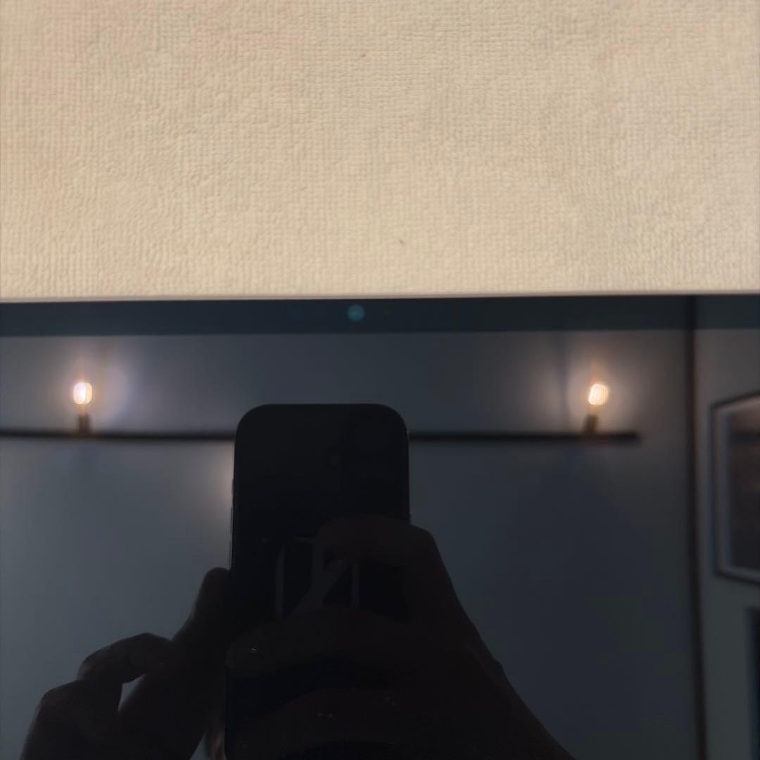 極美品 iPad pro 12.9 第5世代 512GBスペースグレー Wifi