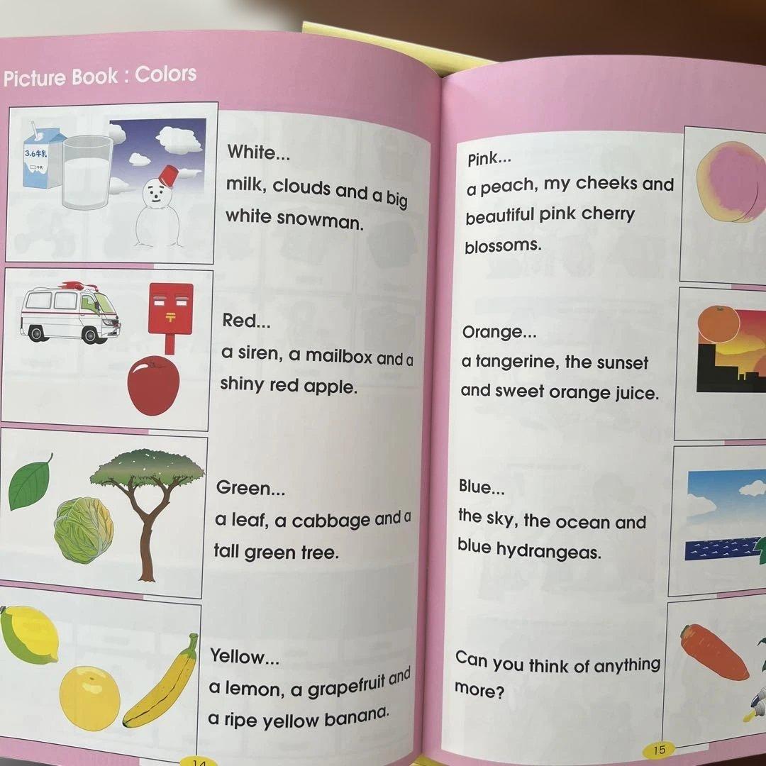 LITTLE BILINGUAL YEAR1 しちだ 英語 教材セット