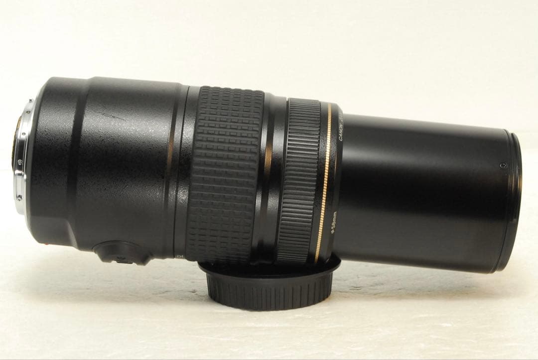 りゅっぴー様Canon EF75-300mm IS USM❤️手ぶれ補正 キヤノン