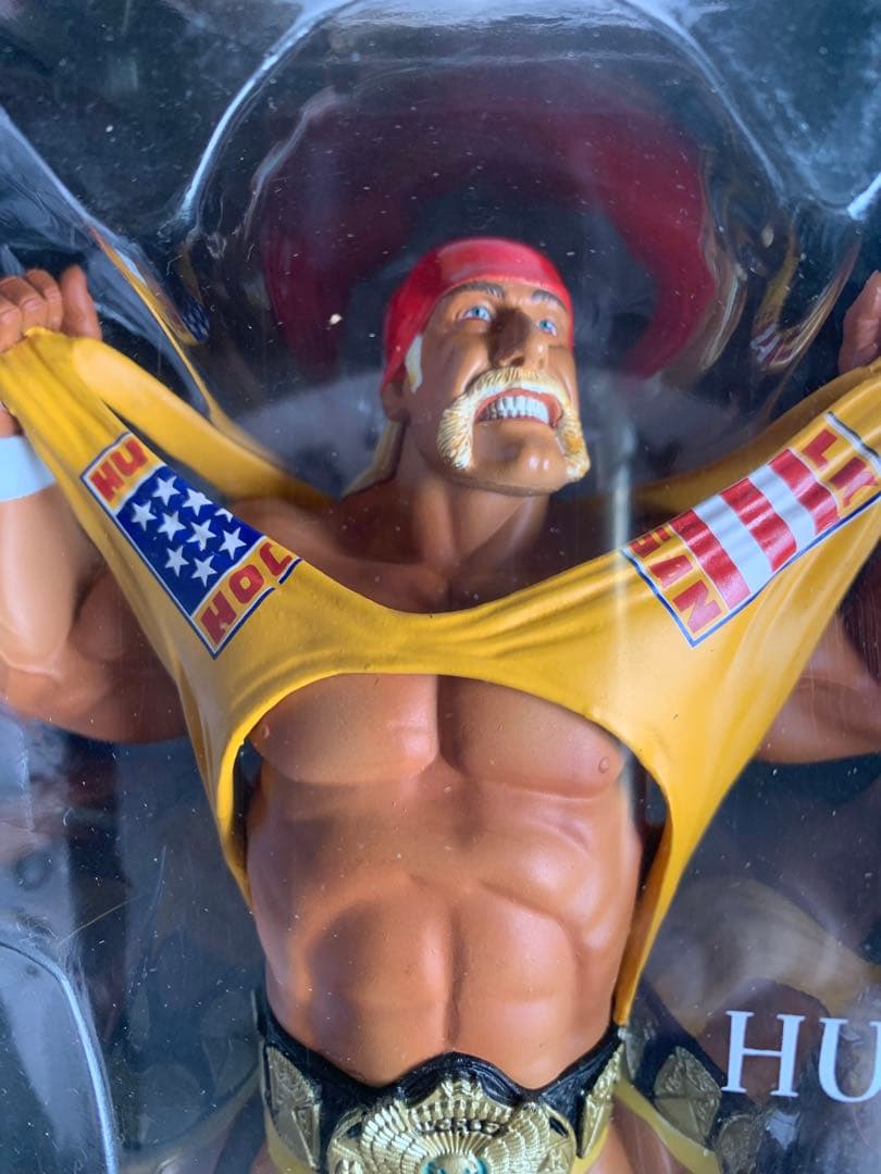 WWE Hulk Hogan アンマッチドフューリー　フィギュア