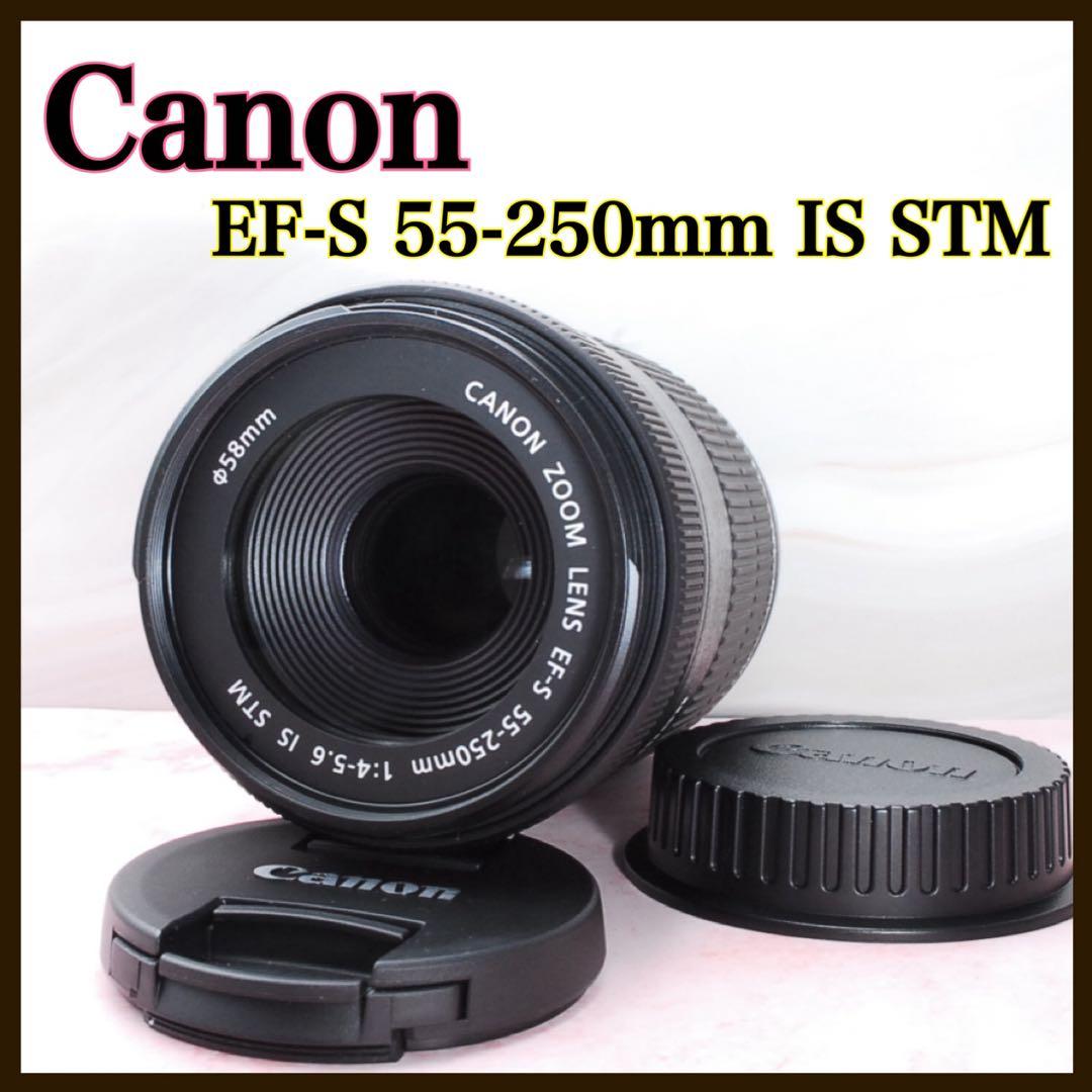 美品✨Canon EF-S 55-250mm IS STM 高性能望遠レンズ