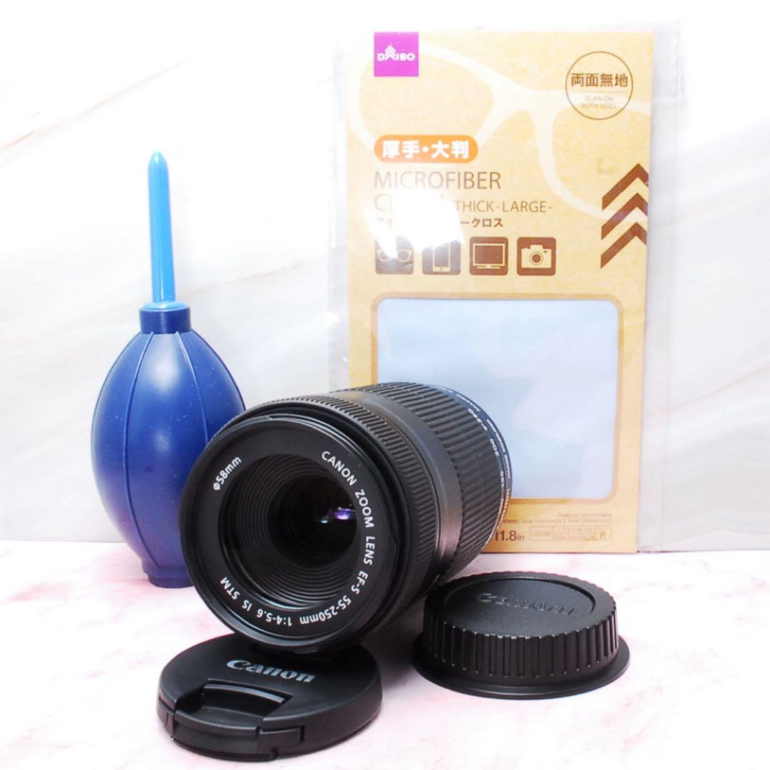 美品✨Canon EF-S 55-250mm IS STM 高性能望遠レンズ