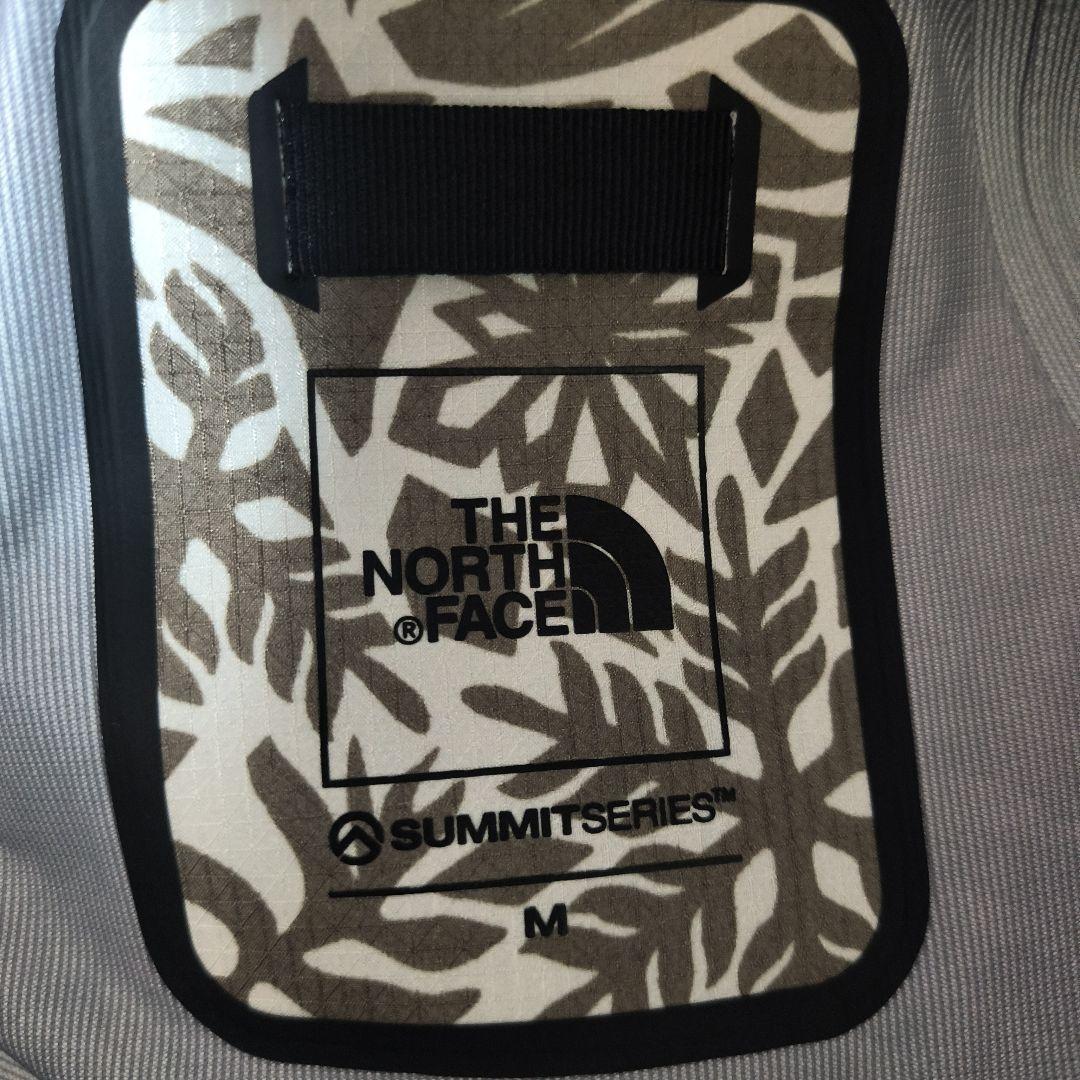 THE NORTH FACE RTG POWDER JACKETボタニカ