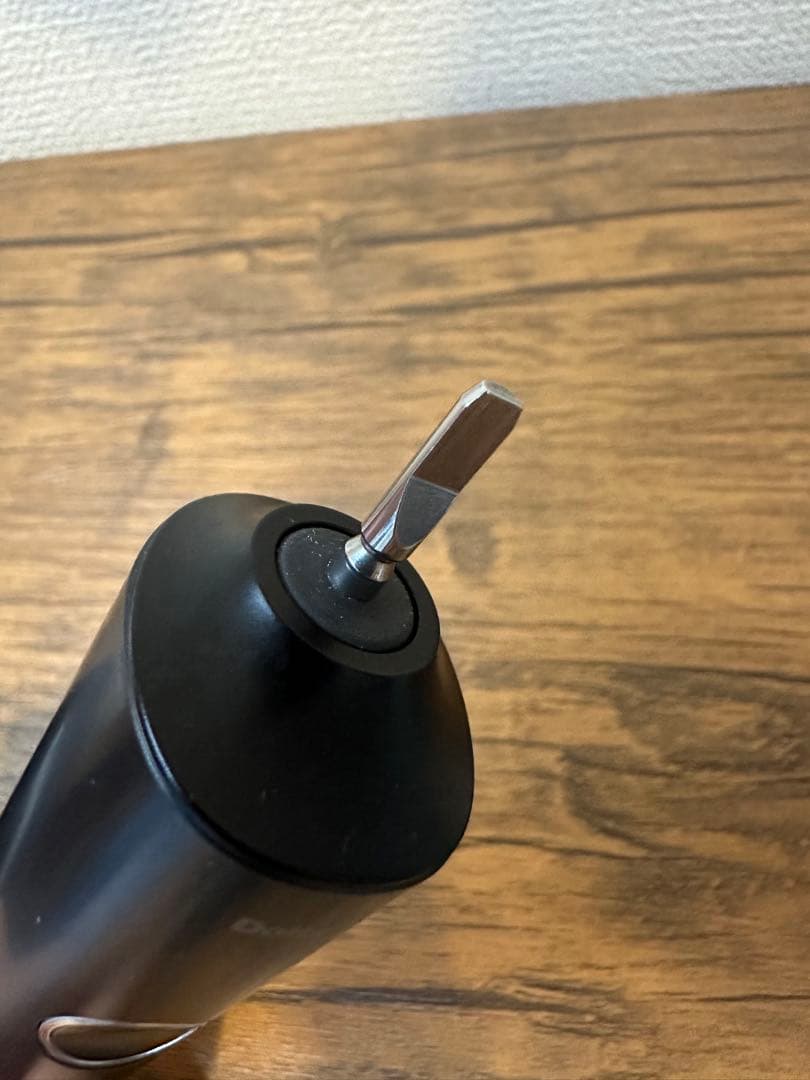 Panasonic EW-DT52 電動歯ブラシ本体