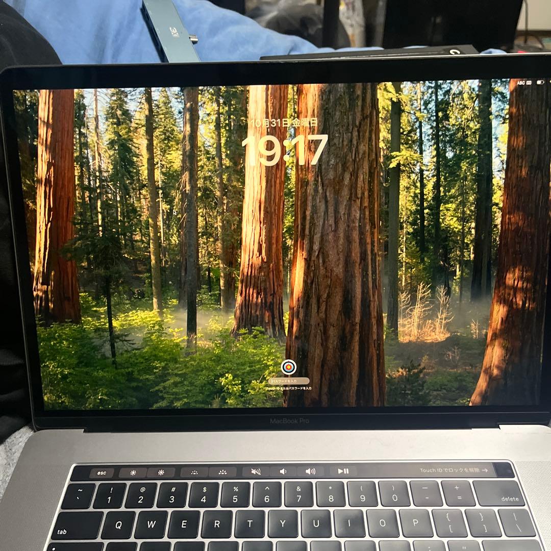 MacBook本体 MacBookPro 2019 15inch corei7