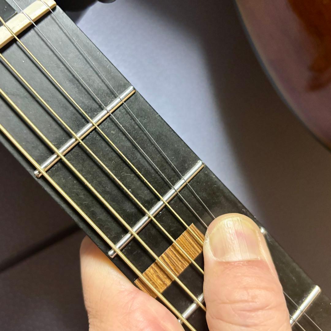 【美品】James トランスギターJ-100A MHT ギグケース付属