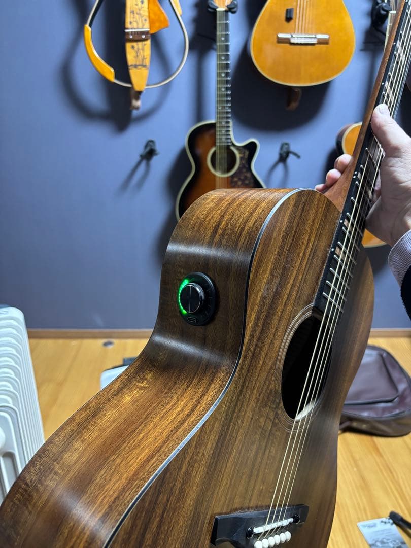 【美品】James トランスギターJ-100A MHT ギグケース付属