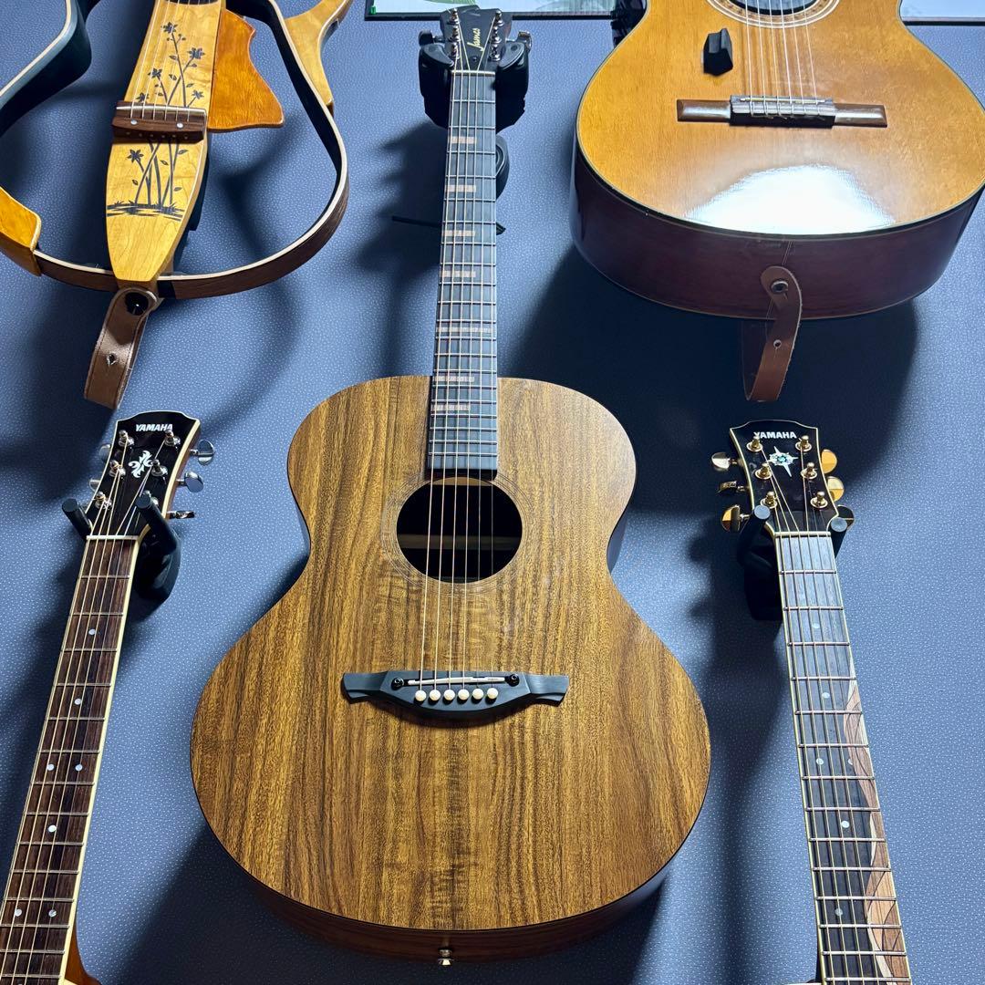 【美品】James トランスギターJ-100A MHT ギグケース付属