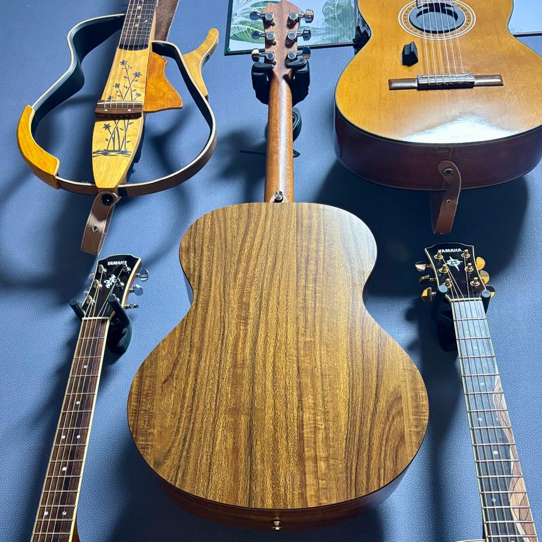 【美品】James トランスギターJ-100A MHT ギグケース付属