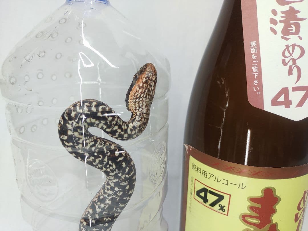 まむし焼酎、マムシ酒、送料込みです