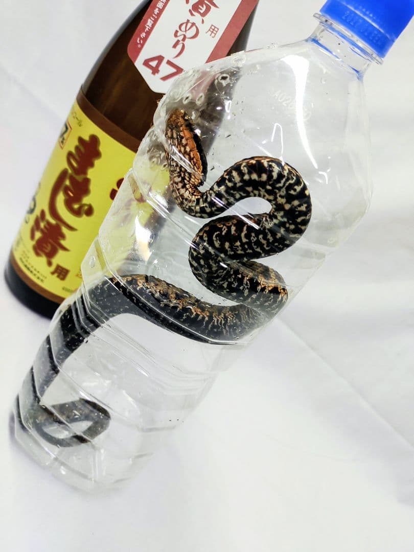 まむし焼酎、マムシ酒、送料込みです