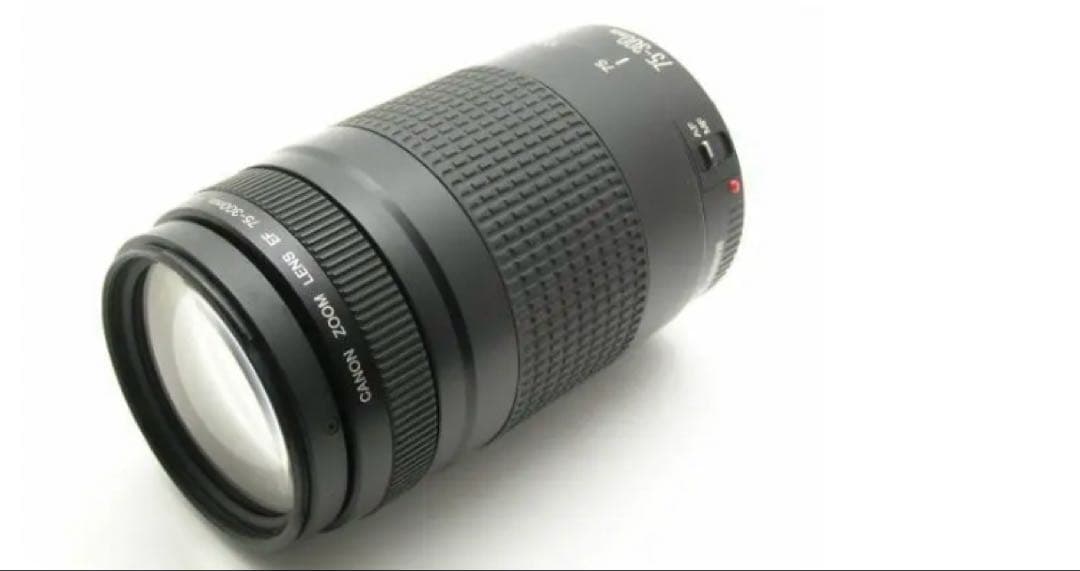 キヤノン/大迫力の300㎜/大望遠レンズ/Canon EF75-300 II