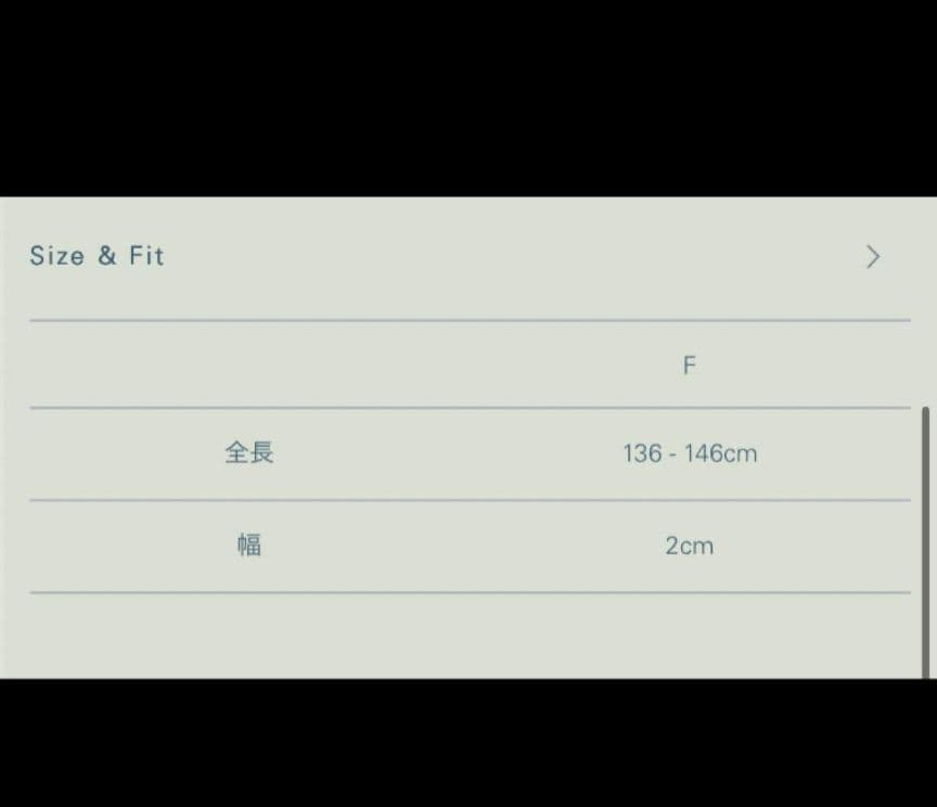 小物 Llife LIDNM LEATHER CHAIN BELT