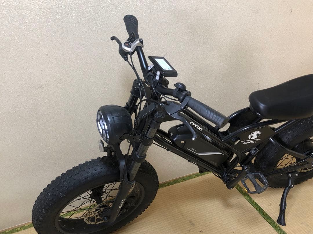 電動アシスト自転車