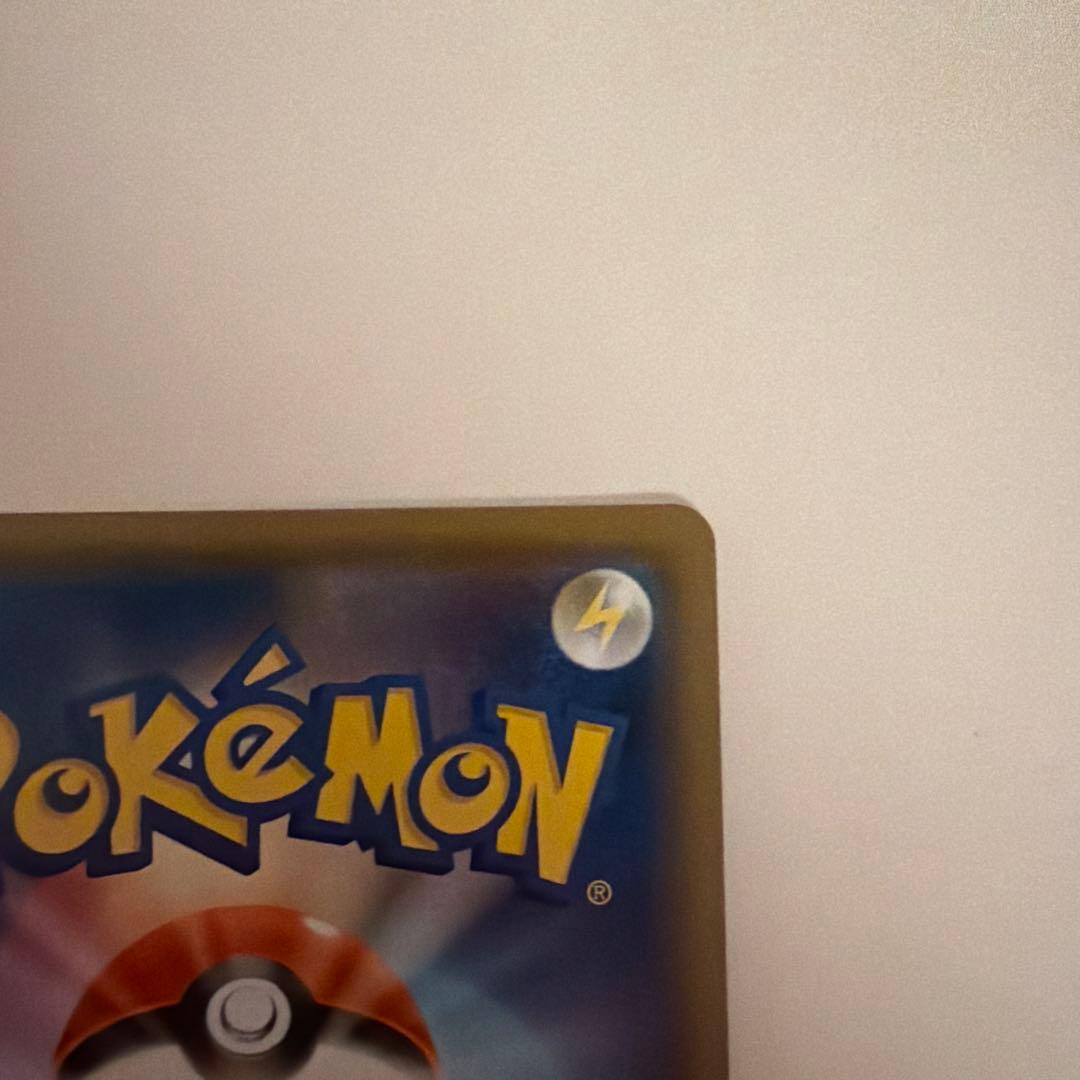 エリカのおもてなし　sar