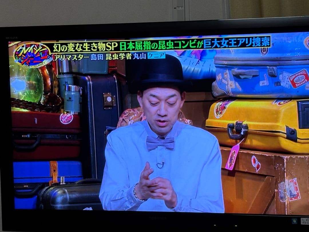 TOSHIBA LED REGZA 42Z1 42インチ