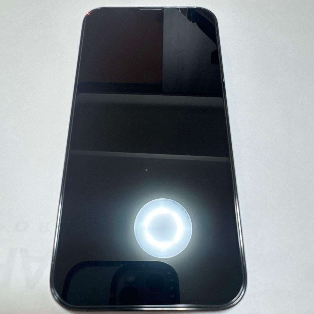 Apple iPhone 13 Pro 本体 付属品付き 256GB