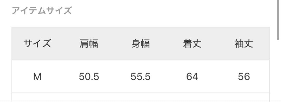 CHAMPION/ チャンピオン リバースウィーブ　別注R/W刺繍　スウェット