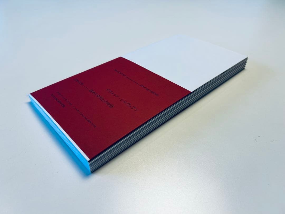 デヴィッド・シルヴィアン　ポラロイド写真集