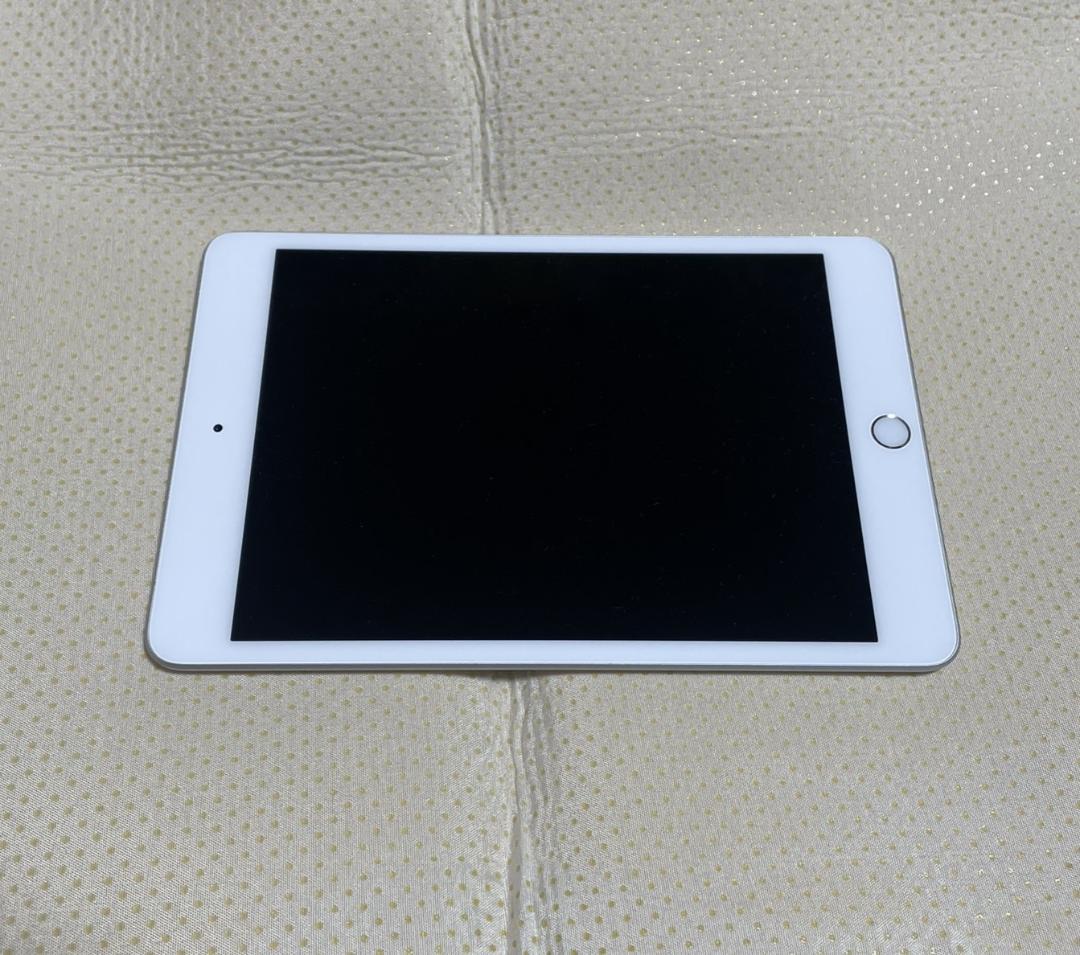 iPad mini5 第5世代 Simフリー 256GB シルバー