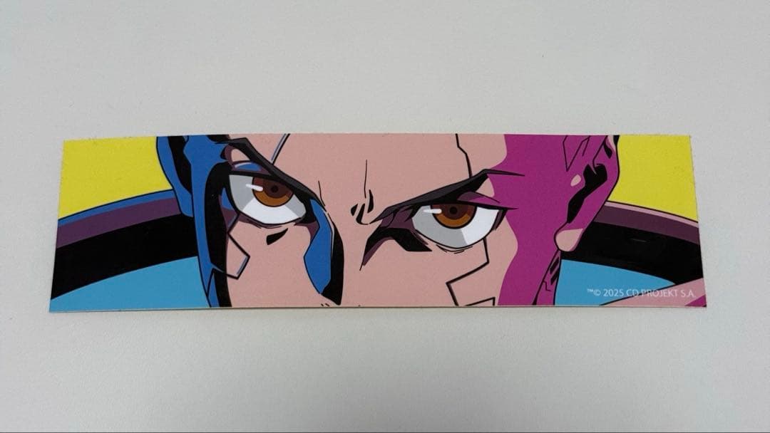 Lサイズ　VAULTROOM DAVID HOODIE / GRAY