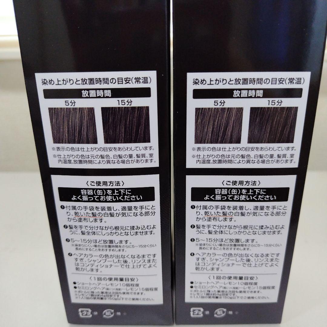 ヘアボーテエクラ エアカラー ボタニカルフォームナチュラルブラック 2個セット