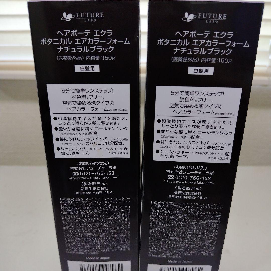 ヘアボーテエクラ エアカラー ボタニカルフォームナチュラルブラック 2個セット