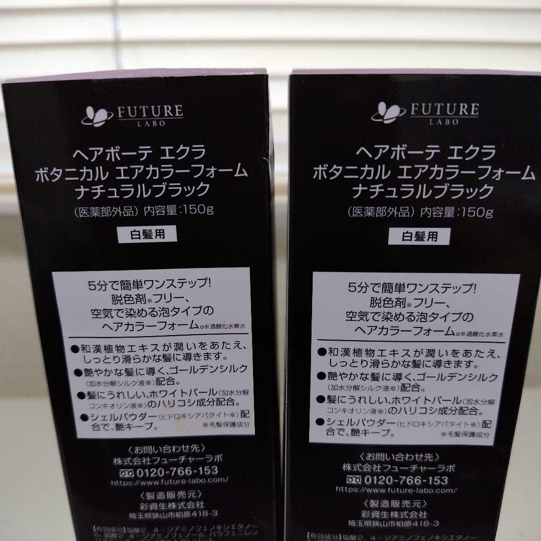 ヘアボーテエクラ エアカラー ボタニカルフォームナチュラルブラック 2個セット