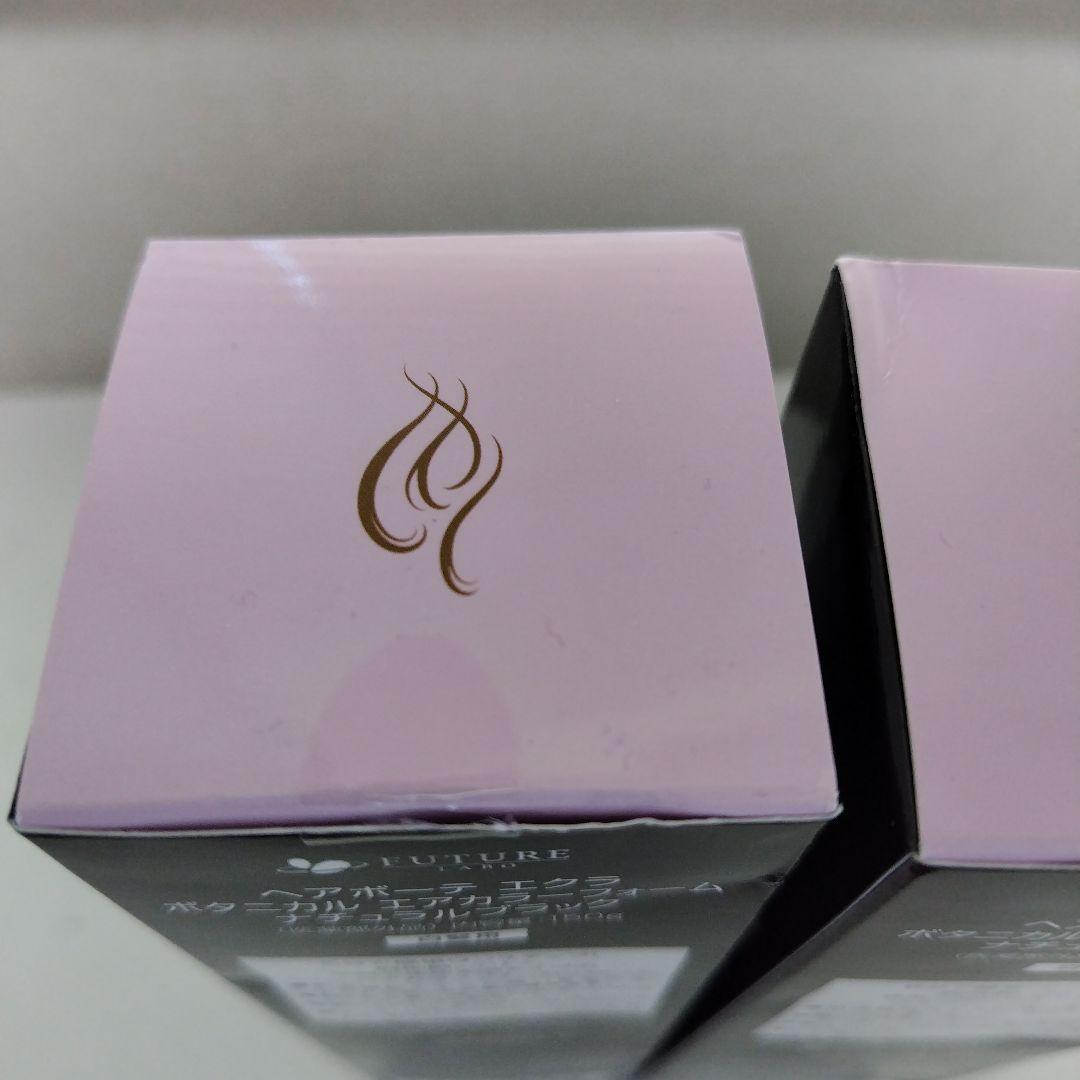 ヘアボーテエクラ エアカラー ボタニカルフォームナチュラルブラック 2個セット