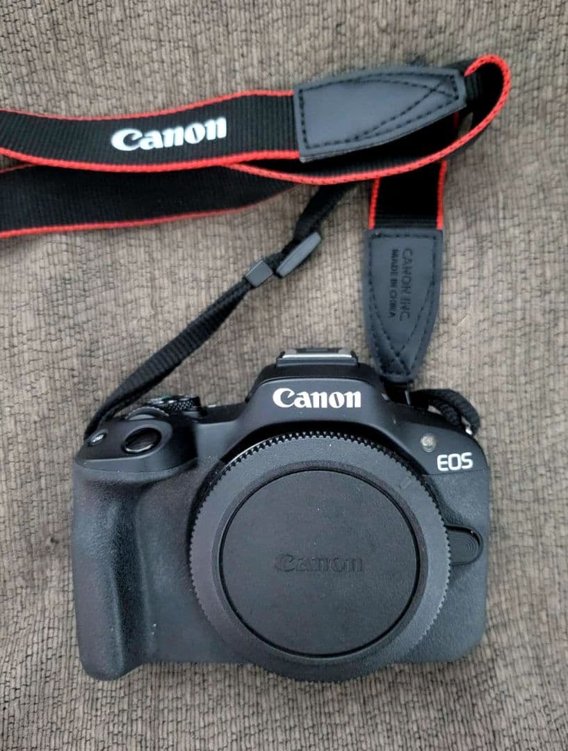 EOS R50・RF-S 55-210mm F5-7.1 IS レンズキット