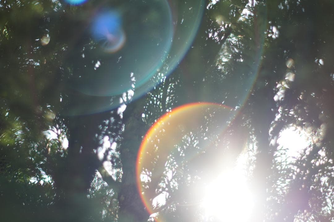 作例有_極美フレア✨ PENTAX スーパータクマー 55mm f1.8 後期