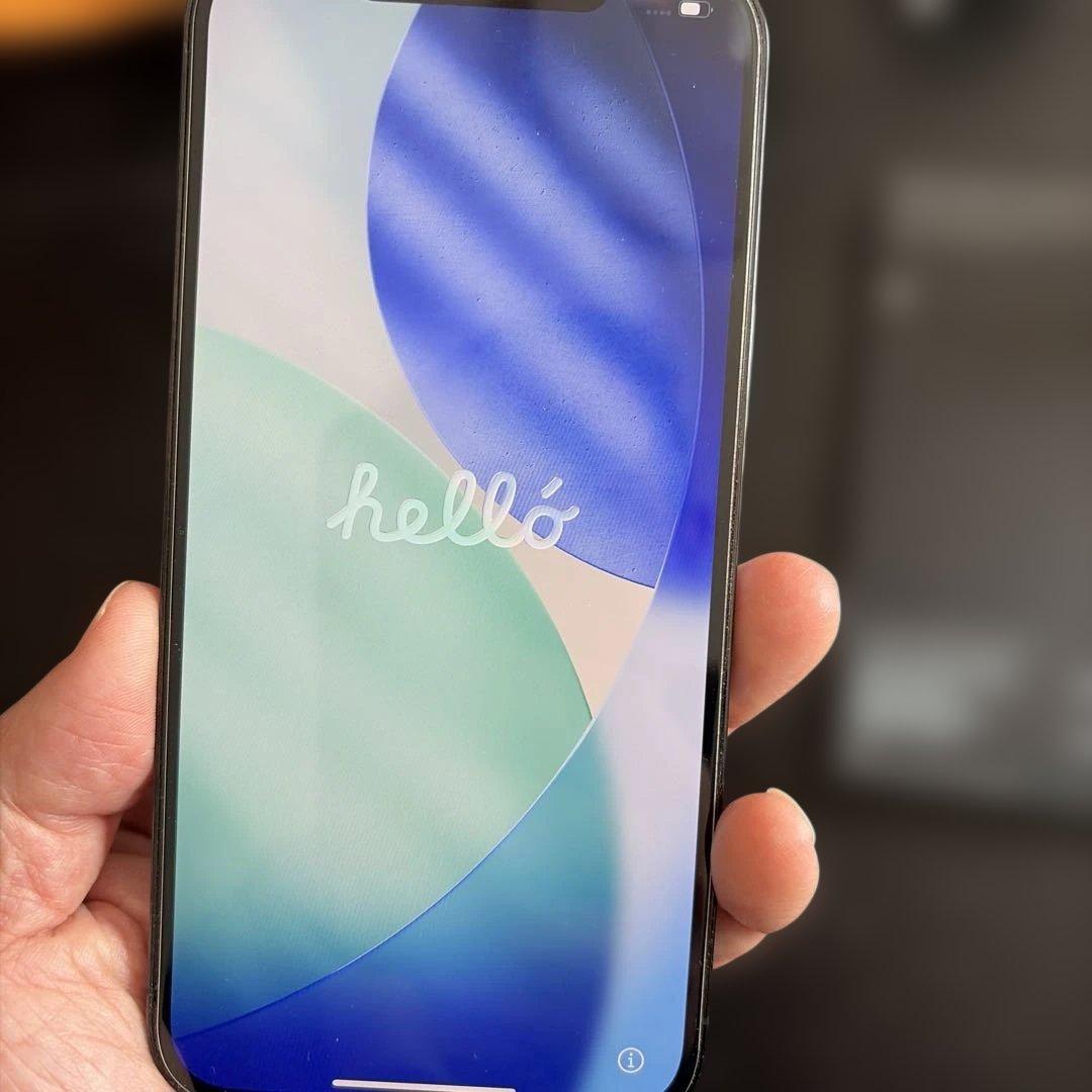 iPhone 12 Pro Max 128GB 充電ケーブル付き　SIMフリー