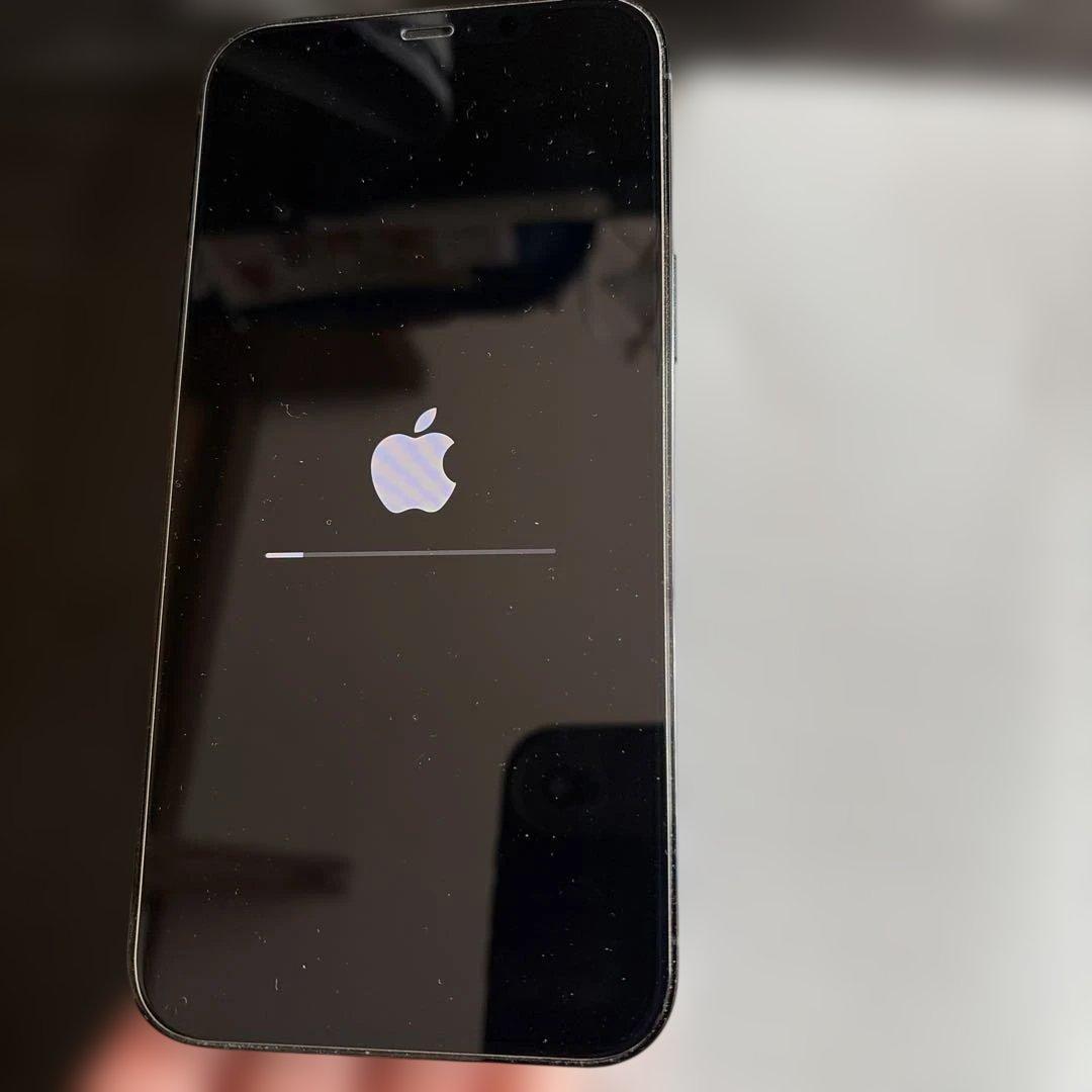 iPhone 12 Pro Max 128GB 充電ケーブル付き　SIMフリー