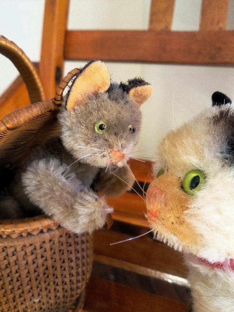 ガラス目の灰色猫さん　耳黒　シュコー　グレーキャット　ノアの箱舟シリーズ