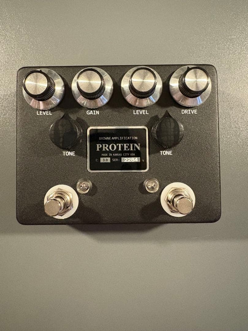 Browne Amplification PROTEIN クローン