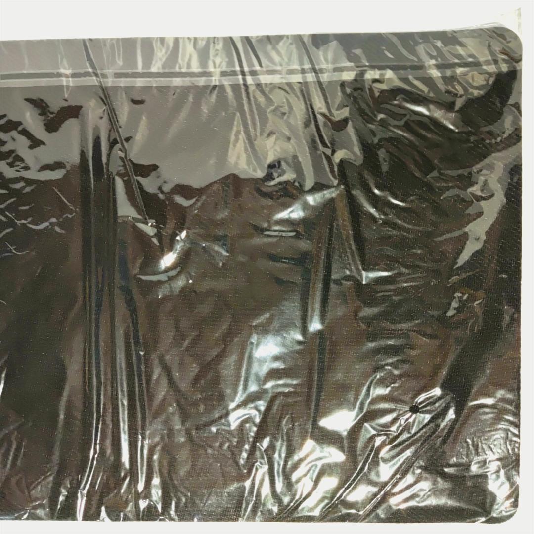 ホロカ 1st Anniversary Celebration Set ラプラス