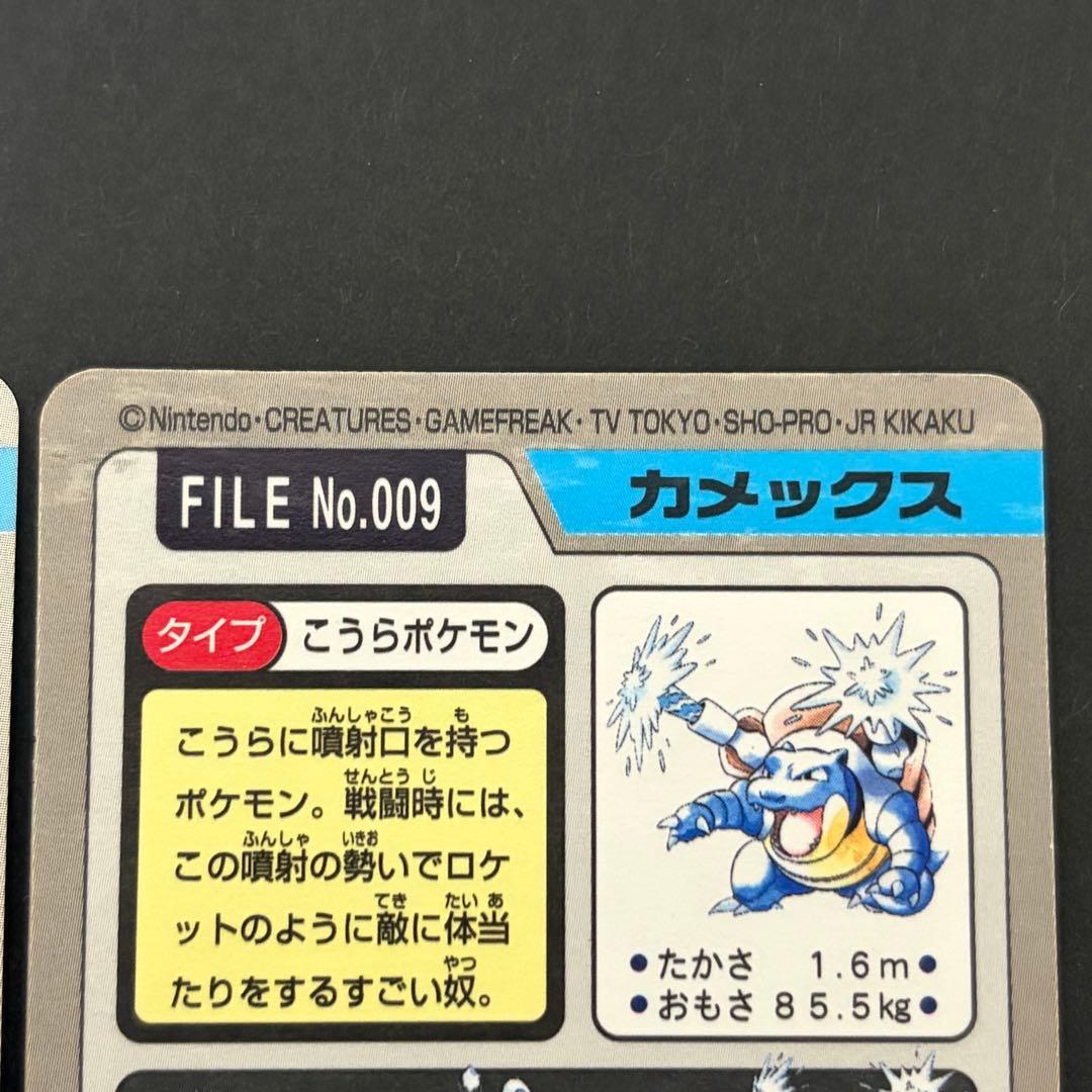 【美品】 カメックス　カメール　ゼニガメ　カードダス　ポケモンカード　進化セット