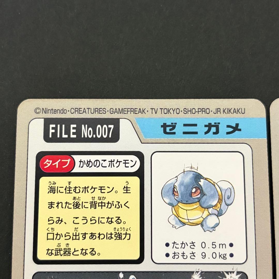 【美品】 カメックス　カメール　ゼニガメ　カードダス　ポケモンカード　進化セット