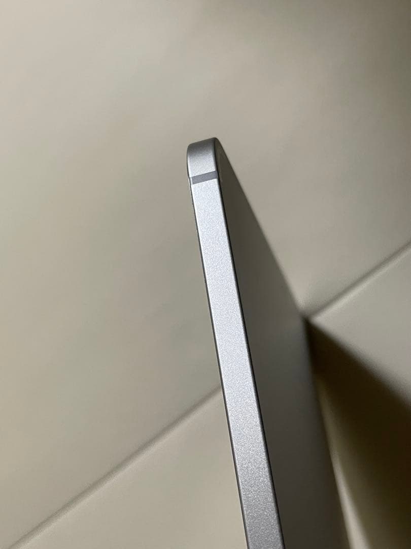 Apple iPad Pro 12.9インチ256GB 第5世代/PITAKA