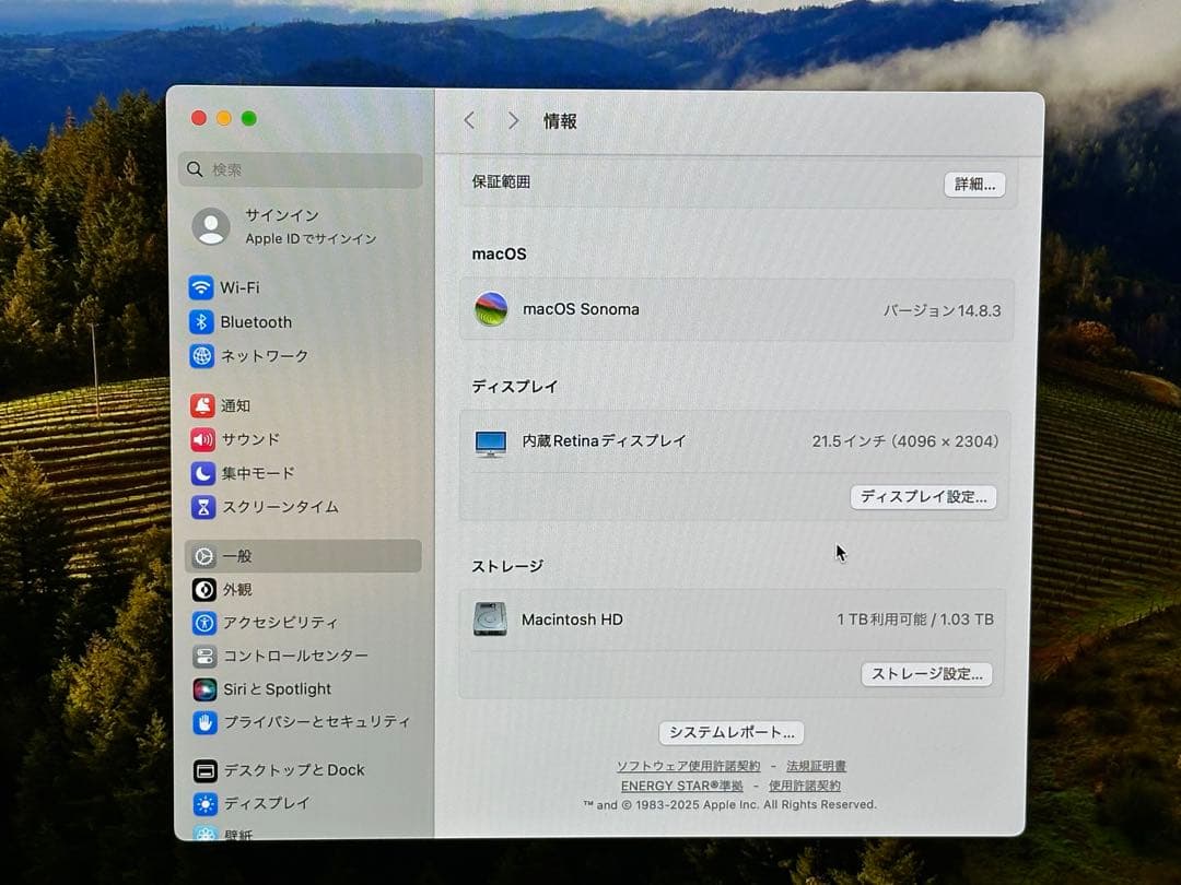 Apple iMac 2019 i5 3.0GHz 16GB ストレージ 1TB