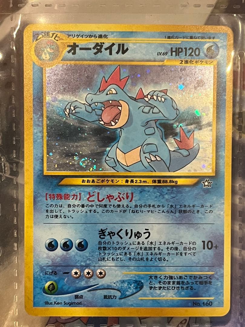 ポケモンカードneo プレミアムファイル 金・銀