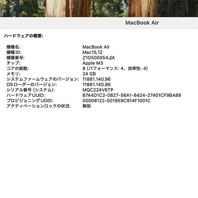 【コバっち】MacBook Air M3 24GB 2TB 13インチ