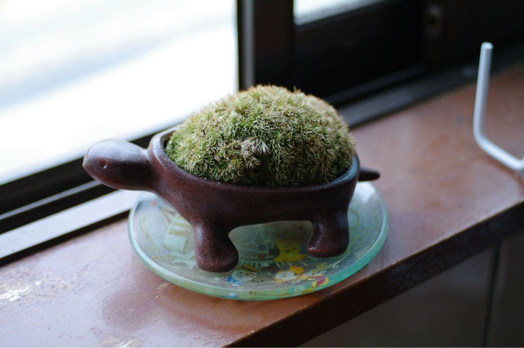 PENTAX DA 40mm F2.8 XS 単焦点レンズ